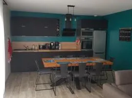Maison récente pour vacances en Charente-Maritime