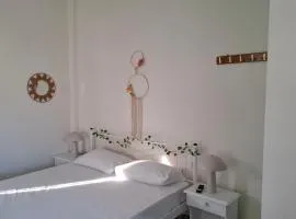 Vitamin sea Studio