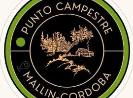 Punto campestre