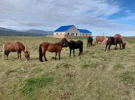 Árbakki-Guesthouse near Egilsstaðir