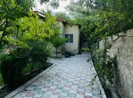 Aks villa