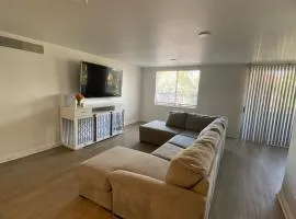 The Modern Nest