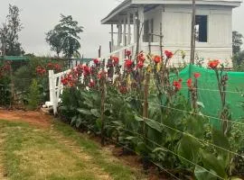 Elmadel Coffee Gardens Wooden One Bed Cottage
