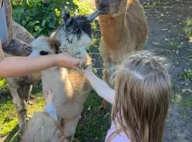 Cosy farmstay, Pet friendly, Alpacas,Scenic