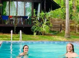 Coconut Tree House
