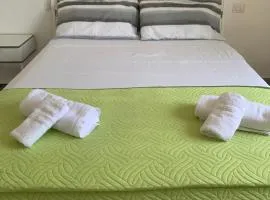 Il gatto e la volpe 1
