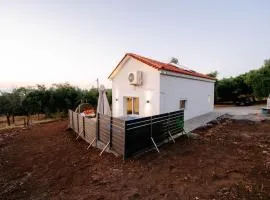 Lux Natura