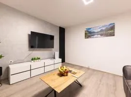 new renovation House Dinov San
