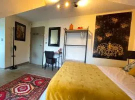 Vitré centre-ville château gare