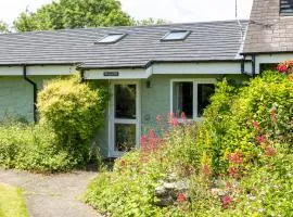 Willow at Gorslwyd - Sound Retreat