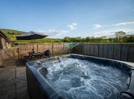 2 Bed in Llandrindod Wells 88203