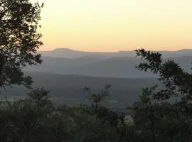 Bushtime at Mabula