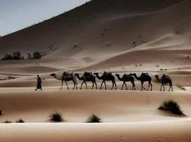 Tanmirt desert camp