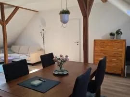 Zentrale Wohnung, Haustiere und Kinder freundlich