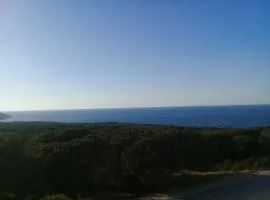 maison de charme au cœur du foret et plage de la grotte Bizerte