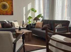 Harmony vintage - Quartier calme - Centre-ville Haguenau - Gare 3 min