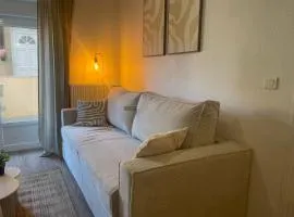 The Parenthèse de Foch