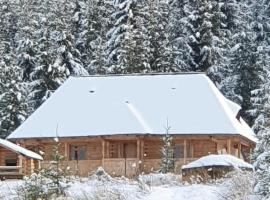 Poiana cu Sinziene, chalet de monta&ntilde;a en Neagra Şarului
