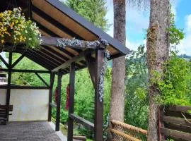 vila Dariana