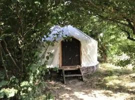 Handcrafted grain-store yurt in Somerset woodland