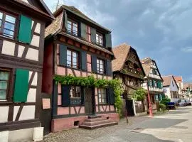 Gîte de caractère au calme , proche quartier historique, Au Merlenchanteur