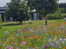 B&B Buutegeweun