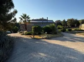 House Bellavista
