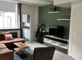 Large Family House Alkmaar