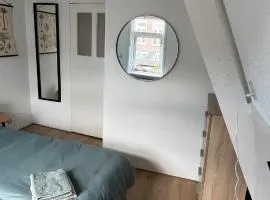 Large Family House Alkmaar