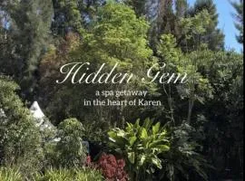 Sarayu Wellness Institute