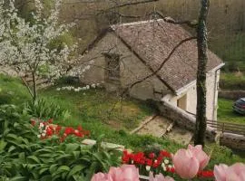 Cottage en nature Le Pigeonnier de la Manse