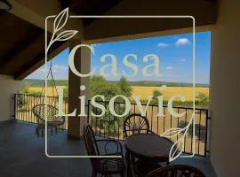 Casa Lisović