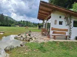 Froschteichhäuschen - Natur und Wellness