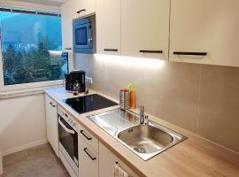 Apartment Gastein 2, ubytování v soukromí v Bad Gasteinu