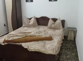 Andrada Garsoniera 2
