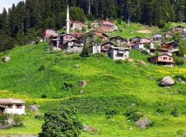 Keleş Dag Evi, habitación en casa particular en Uzungöl