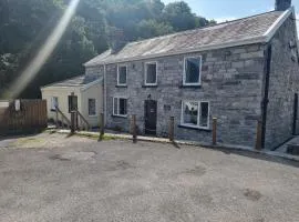 The Old Tredegar