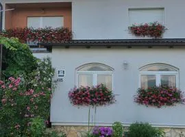 Apartments Žegarac House