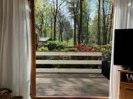 Heerlijk chalet midden op de Veluwe in Hoenderloo