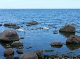 Уютная квартира в 10 минутах от моря, hotel que aceita pets em Aseri