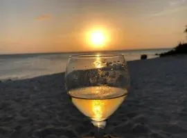 Aruba Harmony Best Place To be