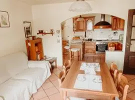 Casa del Gatto