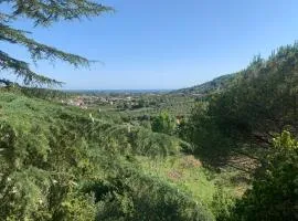 Villa Panorama