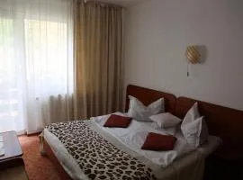 Vila Aosta 21