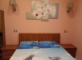 La Casa dei libri