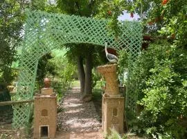 Ecogite La Tourterelle - B&B