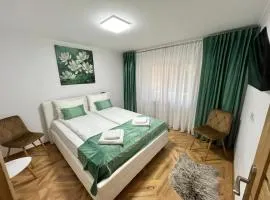 Luxury Apartment