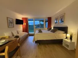 FeWo Pool, Sauna, Wellness, Gartenterrasse ENGELMEER