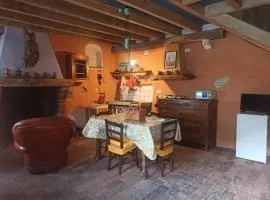 Il vento tra le margherite