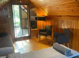 Summer holiday house Vizuli
